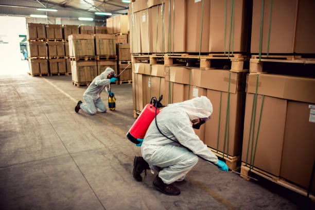 Best Commercial Pest Control Services  in Olean, NY