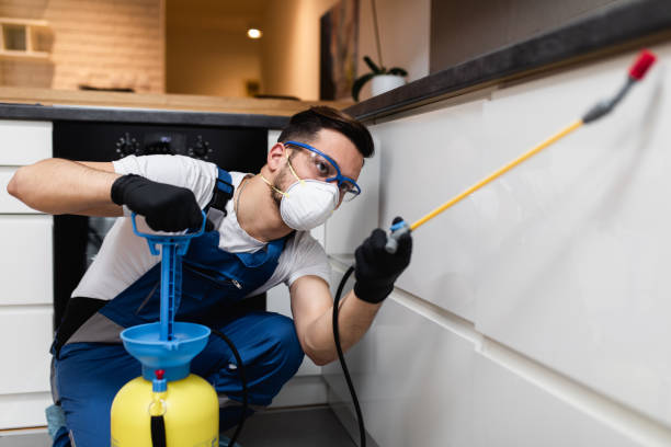 Reliable Olean, NY Pest Control Solutions
