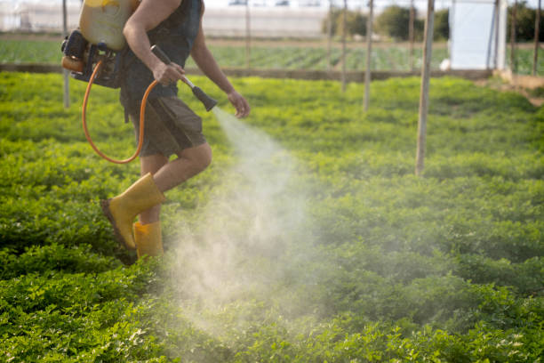 Pest Control for Restaurants in Olean, NY