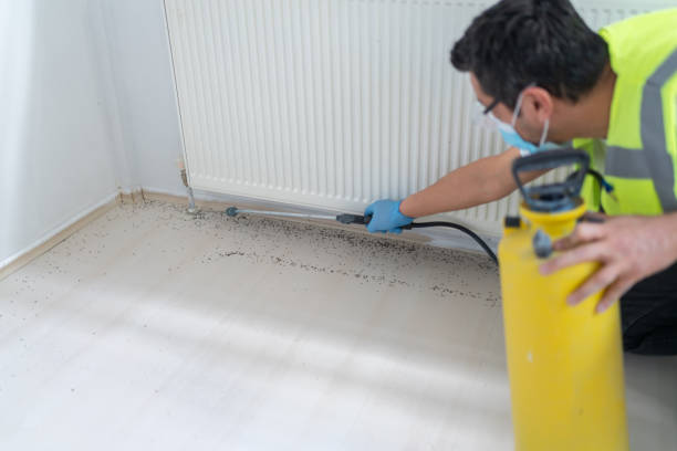 Best Best Pest Control Companies  in Olean, NY